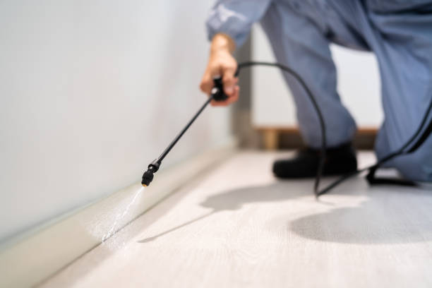 Licensed Pest Control service in Milford, DE - Show Me Pest Control